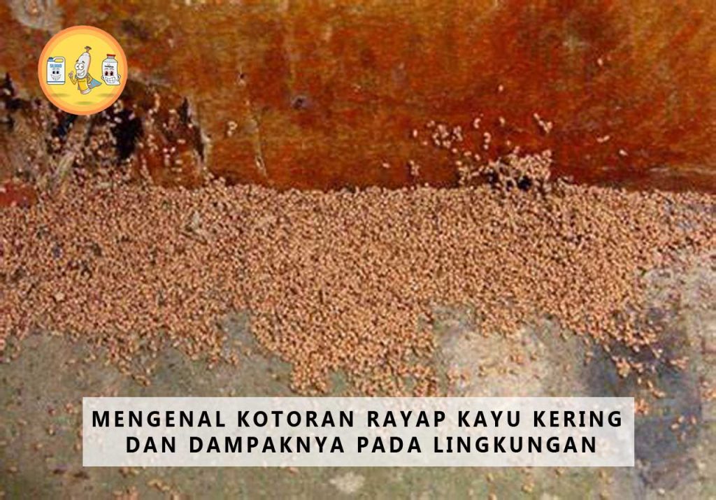 Mengenal Kotoran Rayap Kayu Kering Dan Dampaknya Pada Lingkungan PT