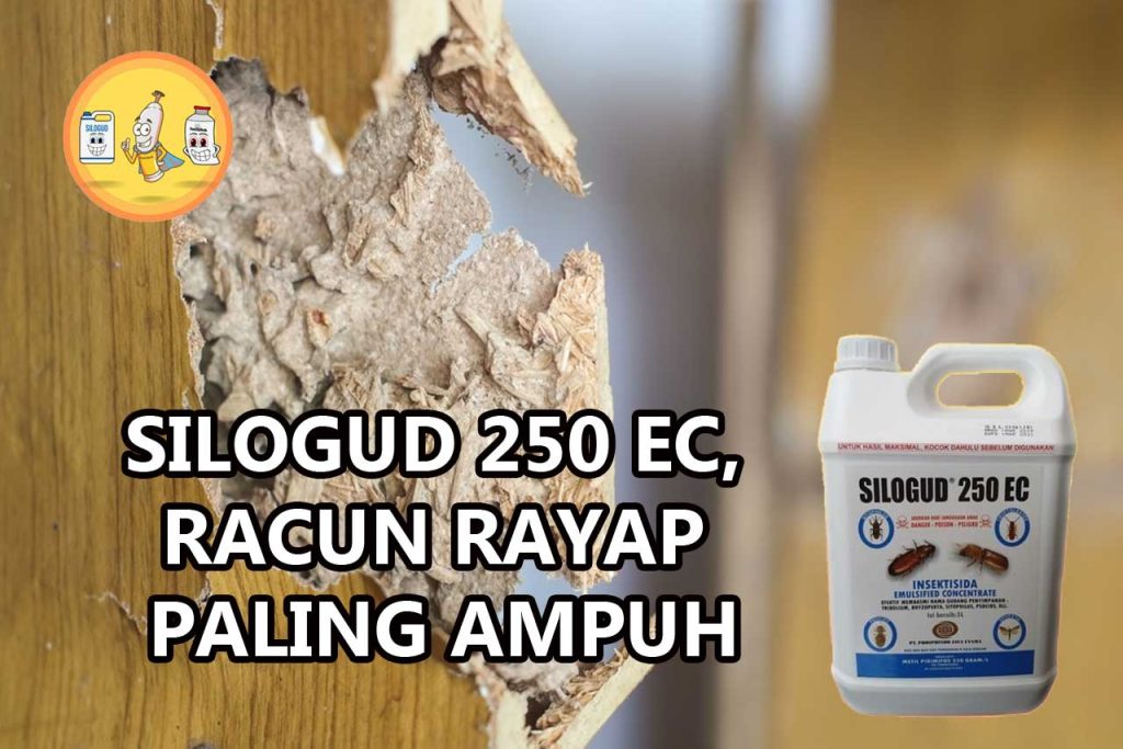 Silogud 250EC Racun Rayap Paling Ampuh PT Panca Prima Wijaya