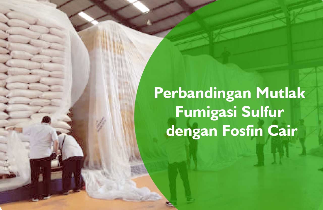Perbandingan Fumigasi Sulfur dengan Fosfin Cair