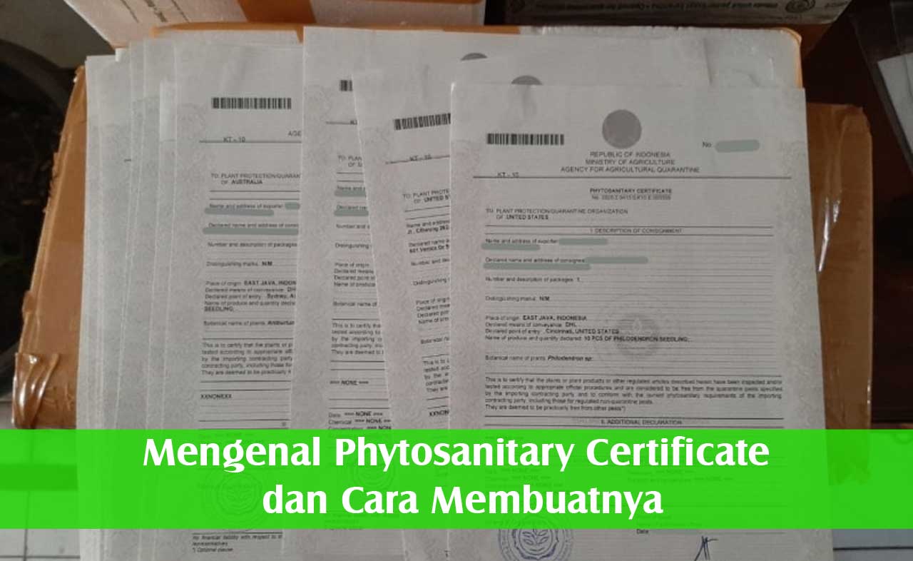 Mengenal Phytosanitary Certificate dan Cara Membuatnya