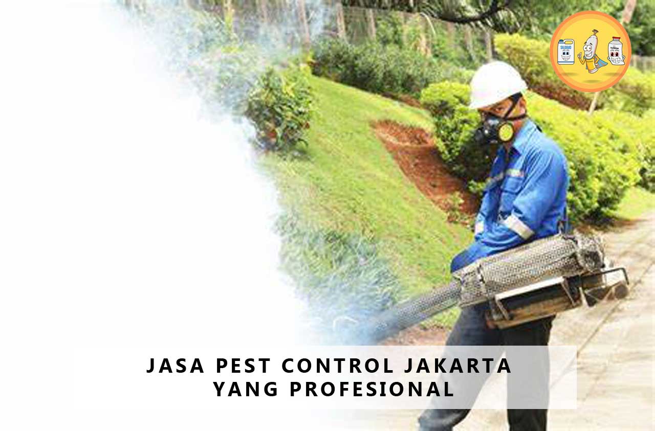 Jasa Pest Control Jakarta yang Profesional