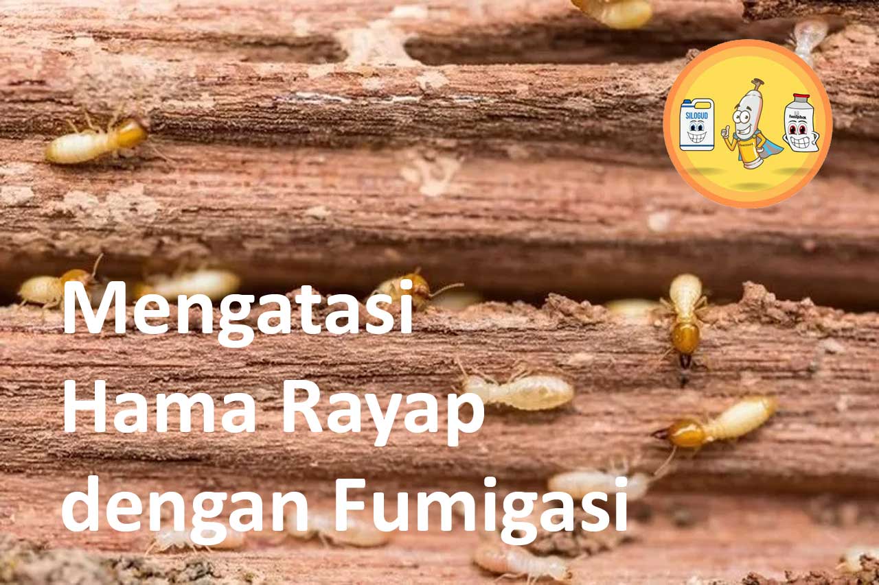 Mengatasi Hama Rayap dengan Fumigasi