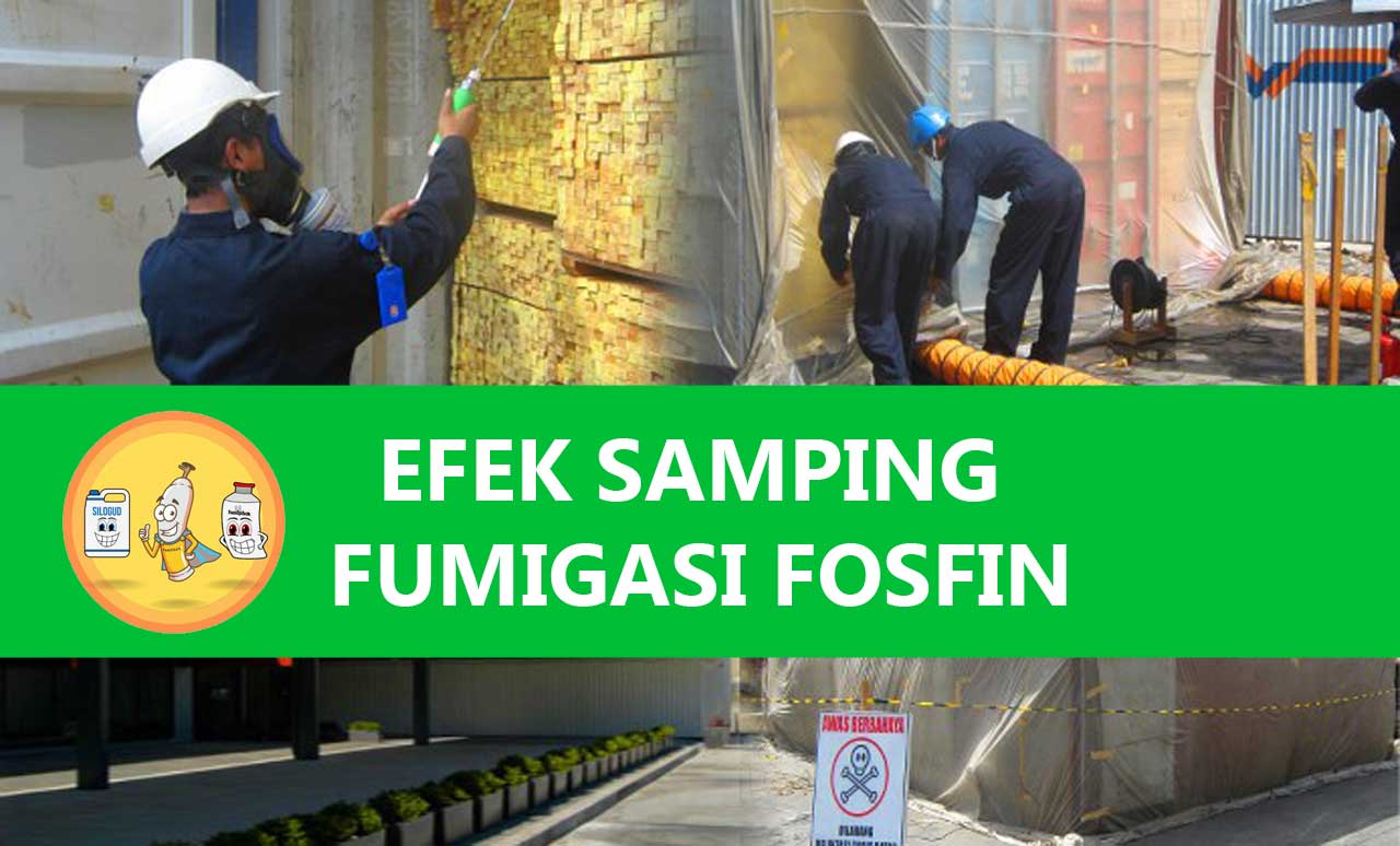 Efek Samping Fumigasi Fosfin