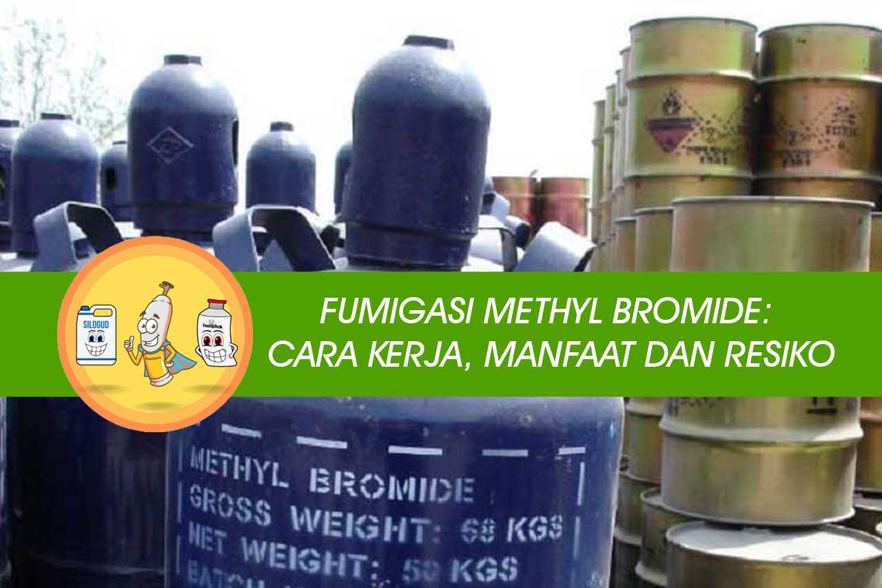 Fumigasi Methyl Bromide