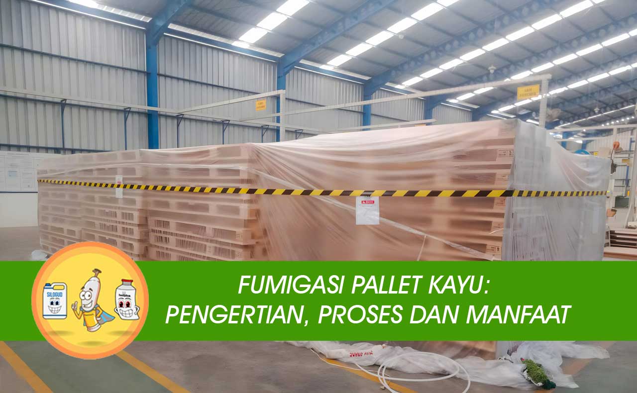 Fumigasi Pallet Kayu