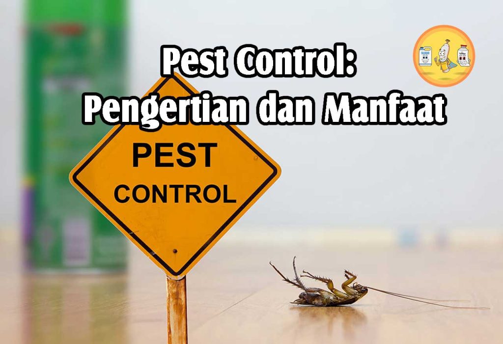 Pest Control: Pengertian Dan Manfaat | PT. Panca Prima Wijaya